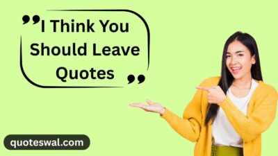 I Think You Should Leave Quotes