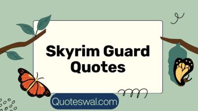 Skyrim Guard Quotes