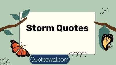 Storm Quotes